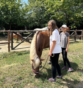 Predám pony kobylku - 4