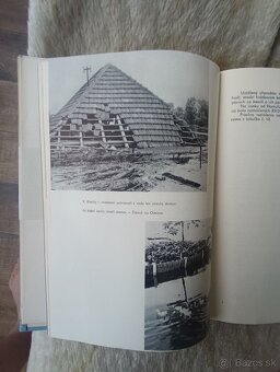 Povodeň na Dunaji v roku 1965 - 4