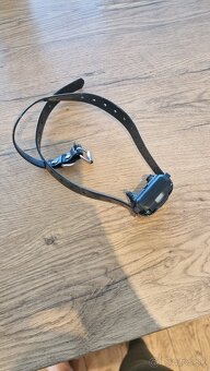 Elektricky obojok - 4