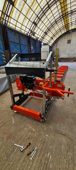 Kmenova pasova píla - 4