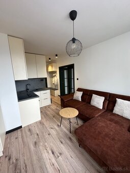 Veľký 1 izbový byt s Balkónom - 4