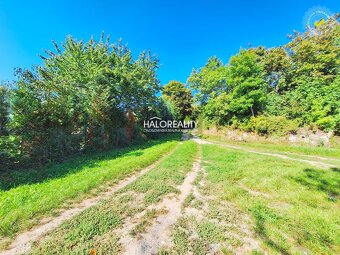 HALO reality - REZERVOVANÉ (prihláste sa na čakaciu listinu) - 4