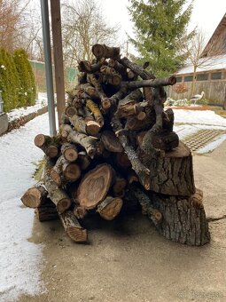 Predám čerstvé orechové drevo - 4