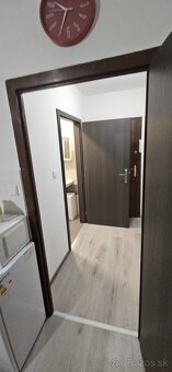 Garsonka na prenájom v Leviciach - 4