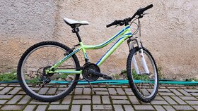 24 palcový bicykel Harry - 4