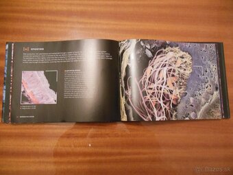 The Human Body Close-up - 4
