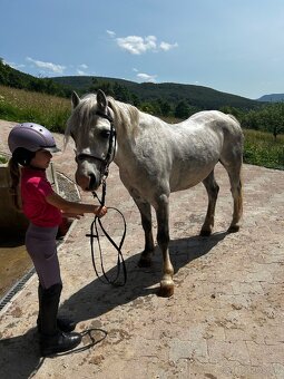 Predam sikovneho S pony - 4