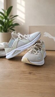 Puma - 4