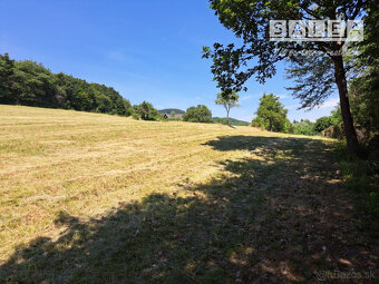 Predaj Pozemok  o výmere 7000 m² v obci Pitelová – Ideálne m - 4