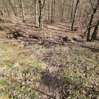 KANAŠ pozemok v lone prírody len 7 km od Prešova 10€/m2 - 4