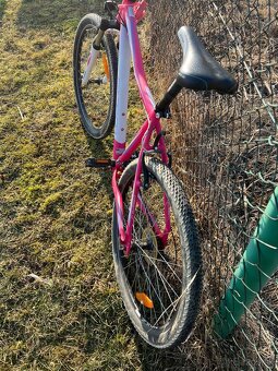 CTM CHARISMA 1.0 - 4