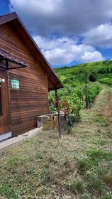 Na predaj vinica s chatkou Hegyfarok Štúrovo - 4