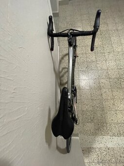 Bianchi Intenso - 4