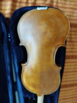 Viola - 4