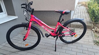 CTM MONY - 4