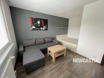 NEWCASTLE⏐PRENAJOM - 1i bauring na ul. Tulská (29m2) + wifi - 4
