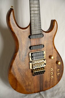 Elektrická gitara - Carvin DC - 20# - 4