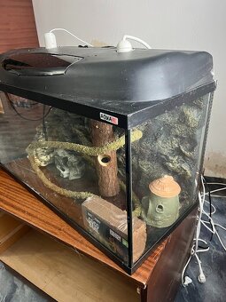 Terarium, sklo, akvárium - 4