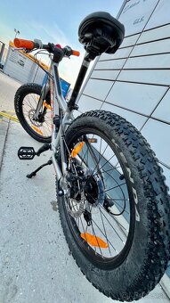 Scott Roxter 20” - 4