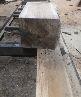 Kmeňova pásová pila - 4