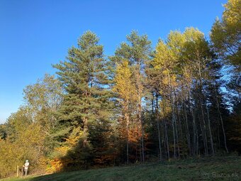 Predám pozemok (Mihaľov) - 4