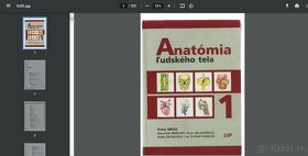 ANATÓMIA - študijné materiály - 4