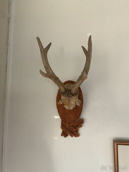 Poľovnícke predmety - 4