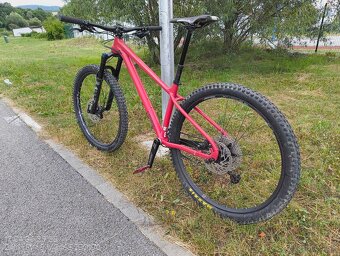 Pells Root 1 - veľ. M - 4