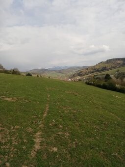 slnecny pozemok-zahrada lopusne pazite - 4