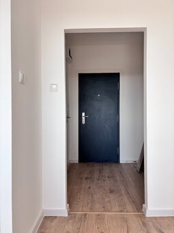 Velky prerobeny 1 izb byt, 35m2, zaciatok Petrzalky Ovsiste - 4