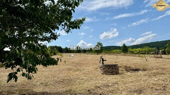 TIMA Real na prenájom 40á pozemok s chatkou, Limbach - 4