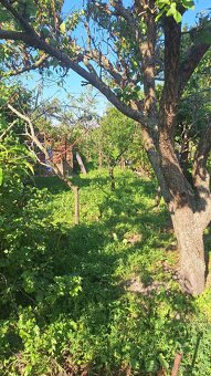 MODRA, starý vinársky dom, po rekonštrukcii trvalé bývanie - 4