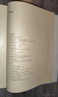 Pamiatke predkov Ferdinand Čatloš - 4