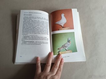 Knihy z edície Chováme č.2,3,5,17,17 - 4