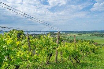 Vinica, dobrý prístup a pekné výhľady - 4
