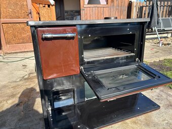 Pec na drevo - 4