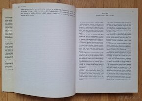 Fajansa - 4