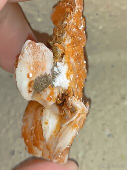 Minerál Vanadinit na baryte - 4