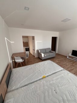 Prenájom 1 izbového bytu - 4