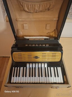 Akordeón DELICIA CARMEN III - 4