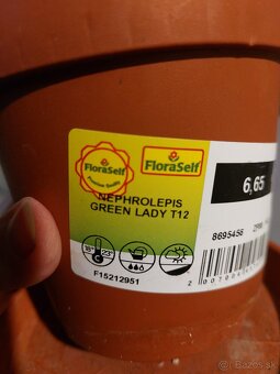 Darujem za odvoz - 4