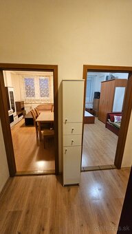 Veľký 1 izbový byt na dlhodobý prenájom - 4