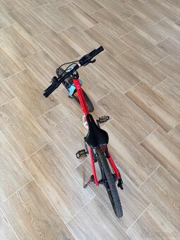 Detsky bicykel Beany 20” - 4