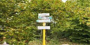 Chata na predaj KRPÁČOVO - 4