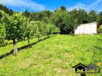 PREDAJ ZÁHRADY, KOLÍŇANY, 617 m² - 4