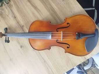 Viola - 4