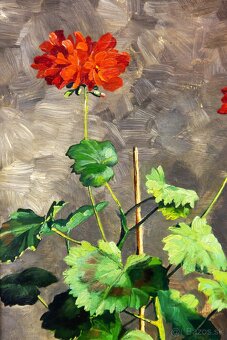 Zátišie s muškátmi, H.Friedrich, 375 × 615 mm - 4