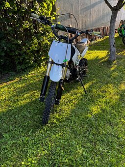 Pitbike Minirocket 125 - 4