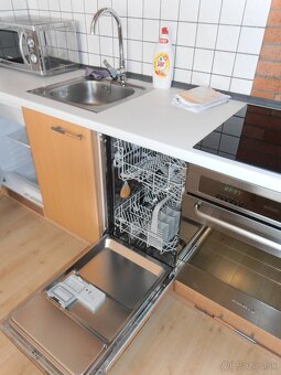 Prenájom 1 izb. byt s kuchyňou, klímou, Staré Mesto, Palisad - 4