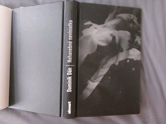 Nehanebné neviniatko - Dominik Dán. - 4